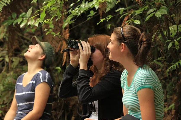 Birding the Foris way