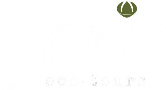 Foris Eco-Tours