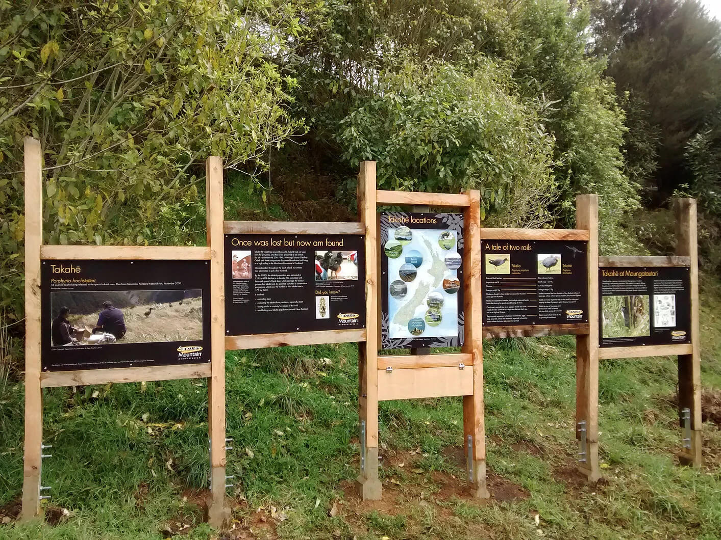 Takahe Display