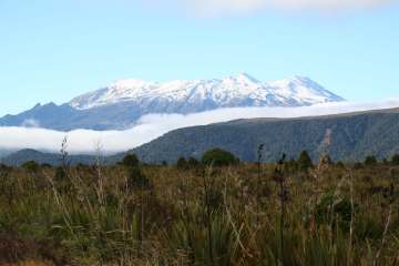 Tongariro with foris eco-tours